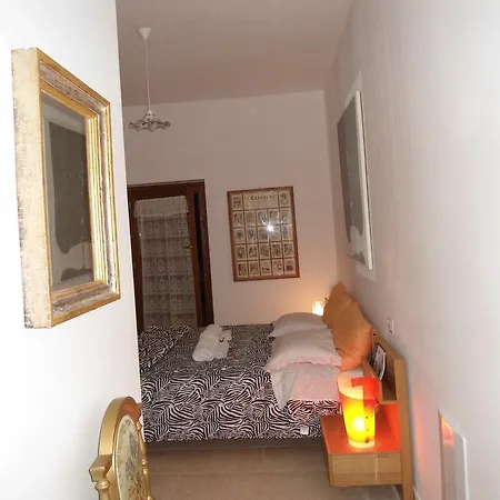 Rosa Spina * Controguerra