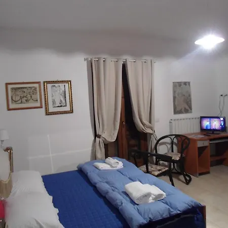 Rosa Spina Controguerra