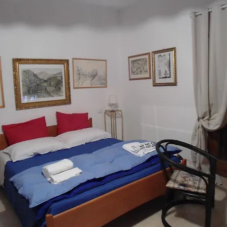 Rosa Spina * Controguerra