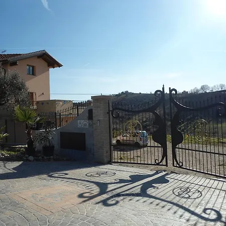 Rosa Spina Controguerra