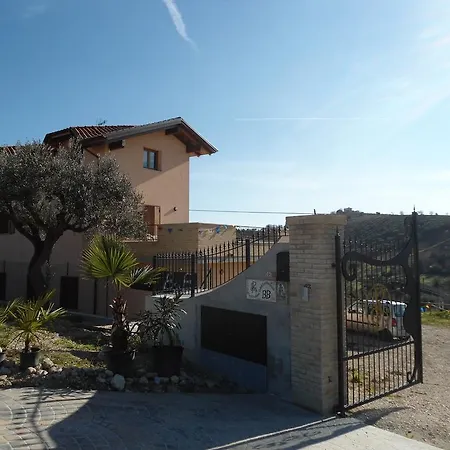 Rosa Spina Controguerra