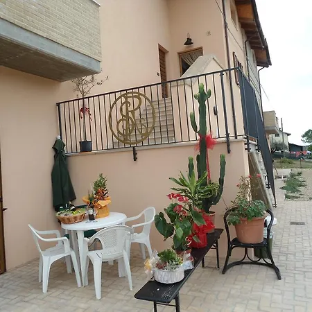 Rosa Spina * Controguerra