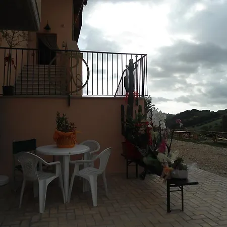 Rosa Spina * Controguerra