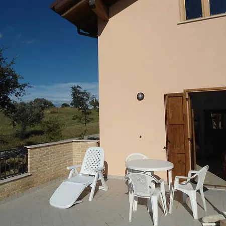 Rosa Spina Controguerra