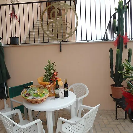 Rosa Spina Controguerra