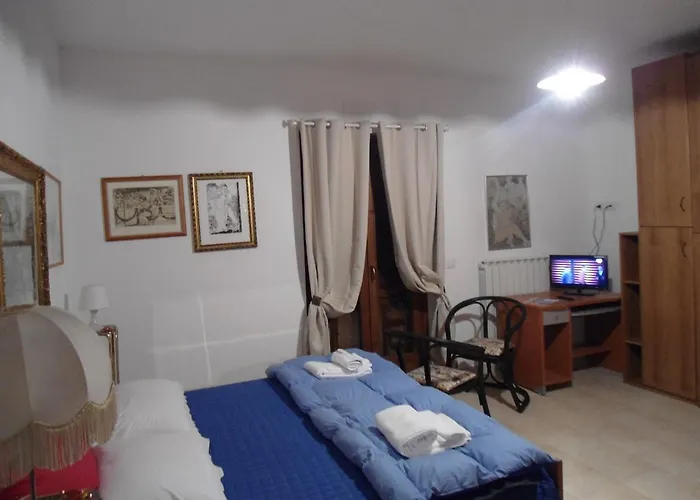 Rosa Spina Controguerra