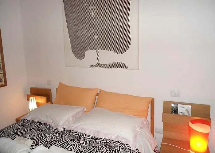 Rosa Spina * Controguerra