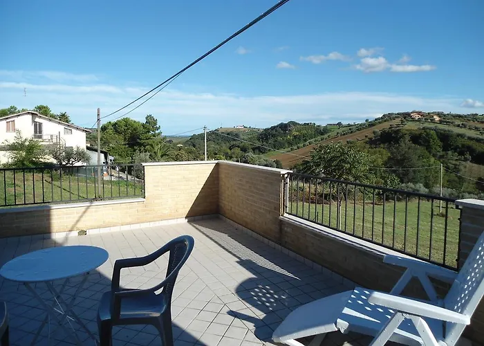 Rosa Spina Controguerra