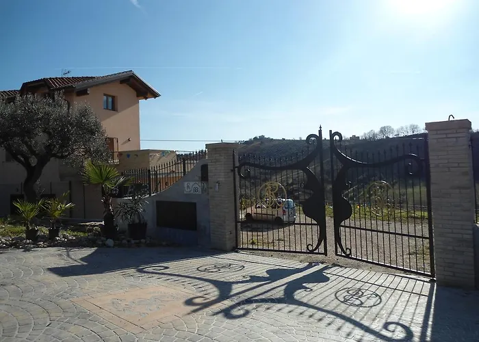 Rosa Spina Controguerra