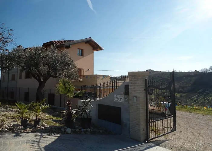 Rosa Spina Controguerra