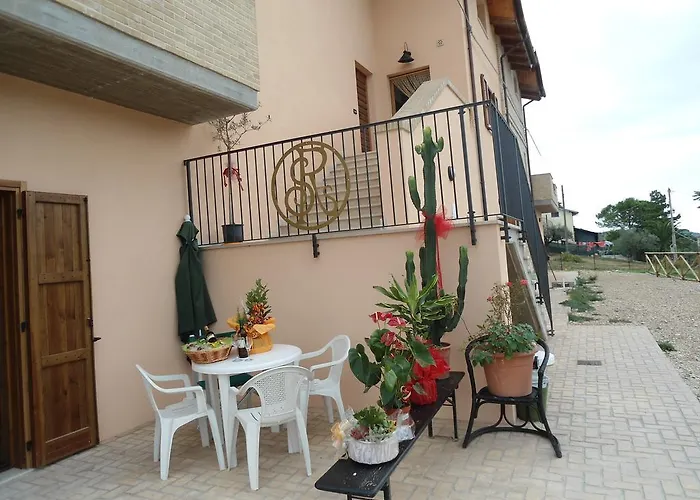 Rosa Spina * Controguerra