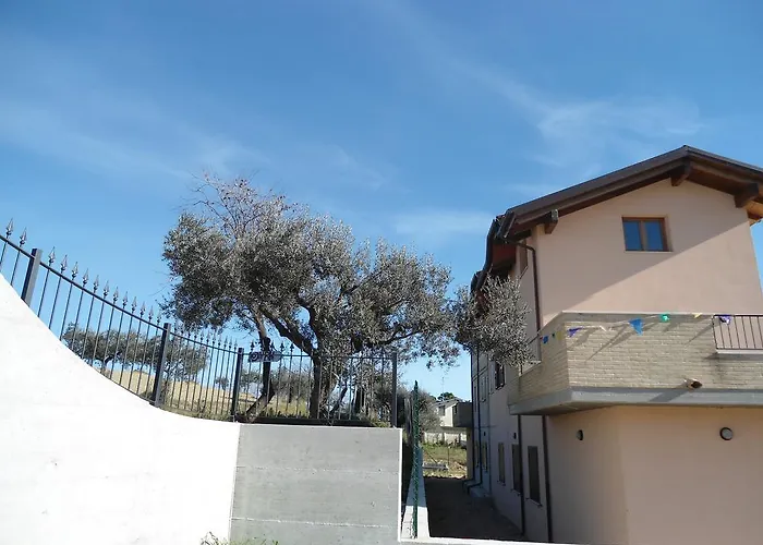 Rosa Spina Controguerra