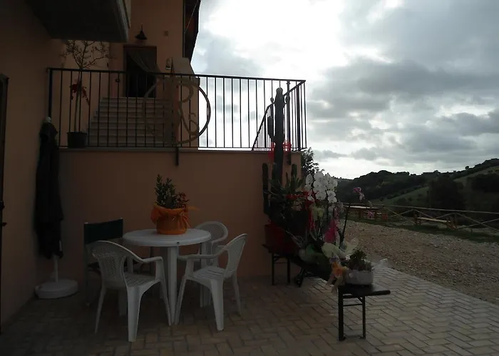 Rosa Spina * Controguerra