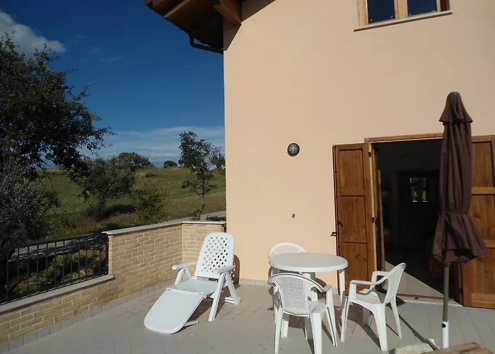 Rosa Spina Controguerra