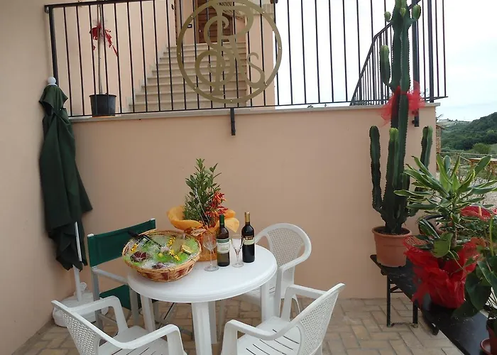 Rosa Spina Controguerra